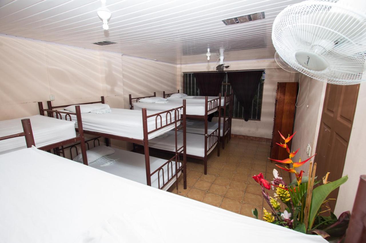 New Hostel Manuel Antonio, Meet New People Стая снимка
